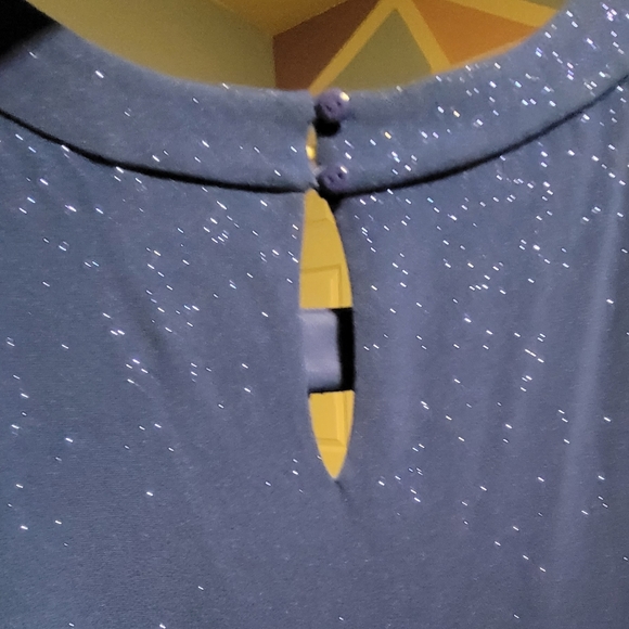 Enfocus Studio Blue Dress - Picture 4 of 4